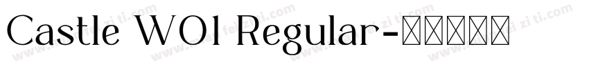 Castle W01 Regular字体转换
